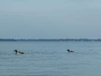 72989RoCrUsmNr - Kayaking on Lake Couchiching from Centenial Park.JPG